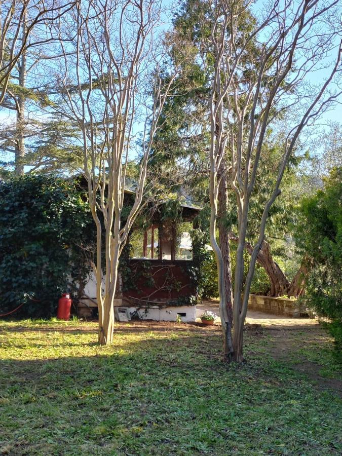 Parco Delle Streghe Villa Scarlino Exterior photo